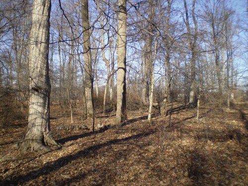 Property photo 17 - 159 Acres Offered in 7 Tracts
